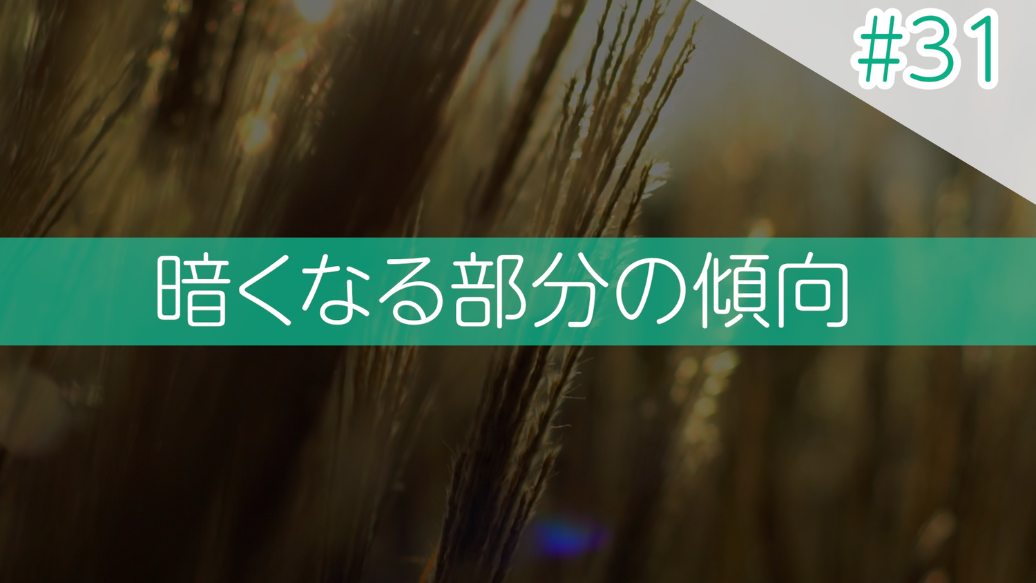 #31 暗くなる部分の傾向